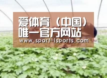 种植基地三