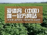 种植基地五(图1)