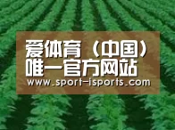 种植基地六(图1)