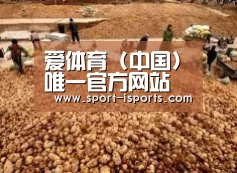 种植基地二