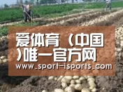 种植基地七(图1)